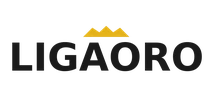 Campeon Liga Española